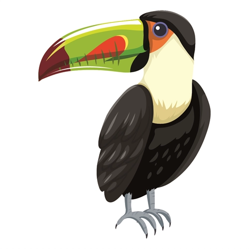 Jungle Safari Colorful Toucan Transparent Sticker